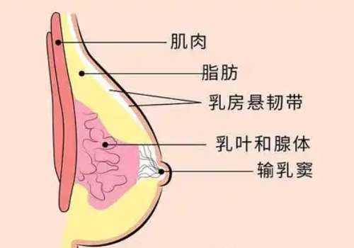胸6.jpg
