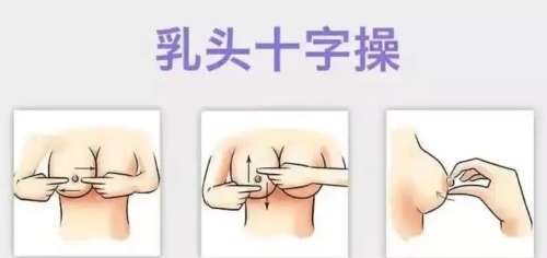乳头内陷动漫05.jpg 乳头内陷动漫05.jpg