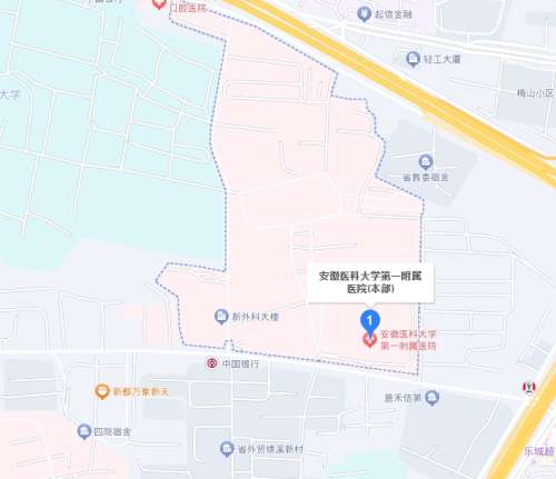 安徽医科大学第一附属医院地址.jpg 安徽医科大学第一附属医院地址.jpg