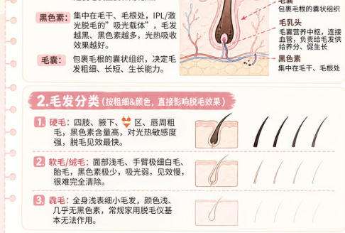 脱毛1.jpg