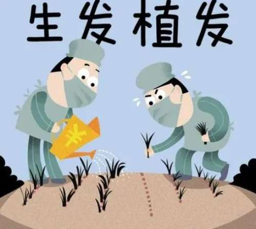 植发 植发