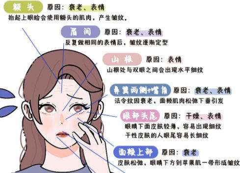 抗衰3.jpg 抗衰3.jpg