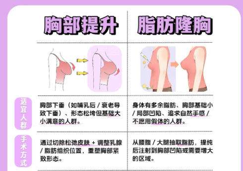 1乳房.jpg 1乳房.jpg
