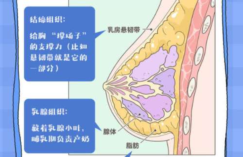 隆胸5.jpg 隆胸5.jpg