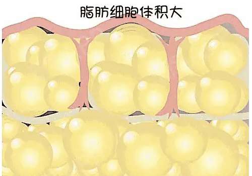 截图09162.jpg