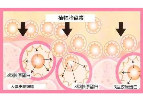 截图06621.jpg